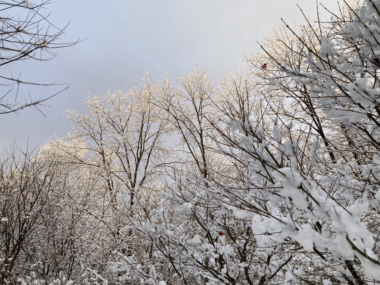 積雪＆除雪