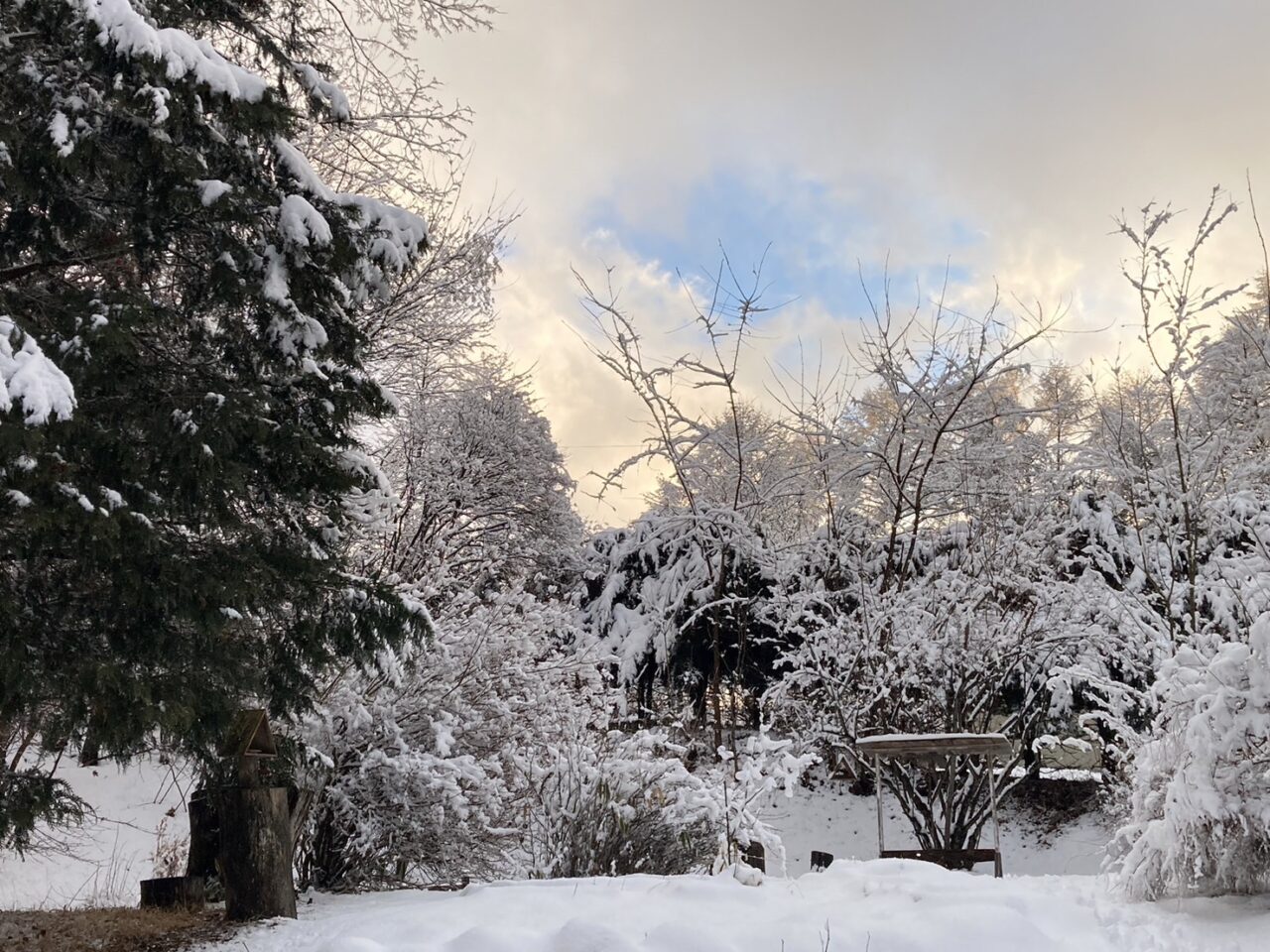 積雪＆除雪