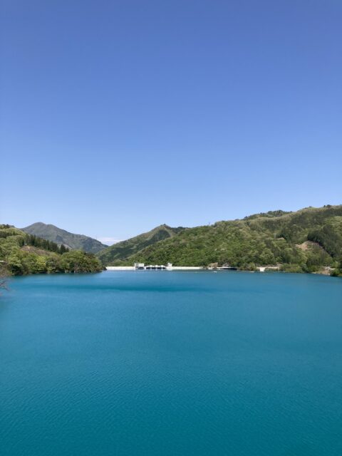 埼玉からのゲスト