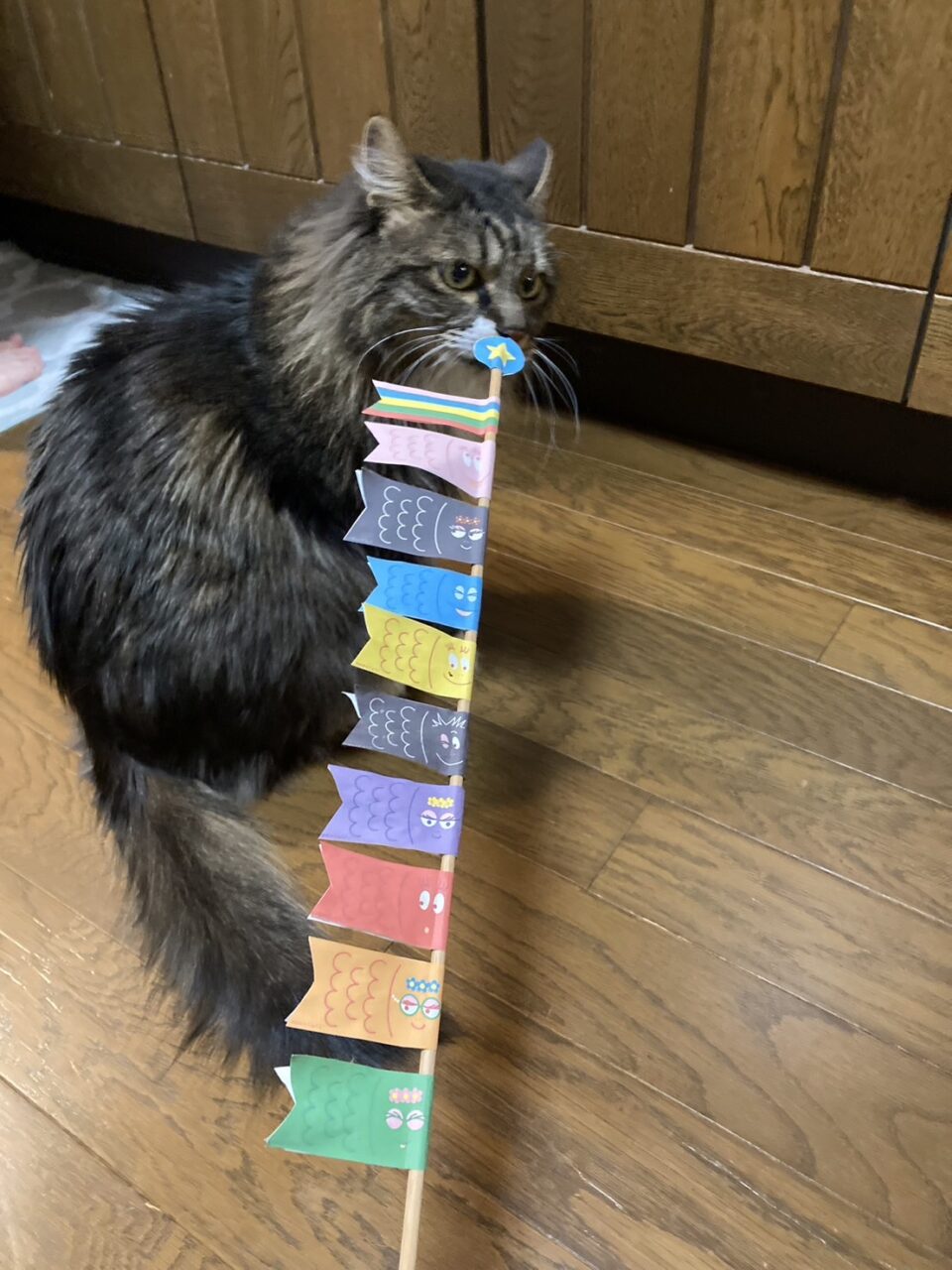 端午の節句