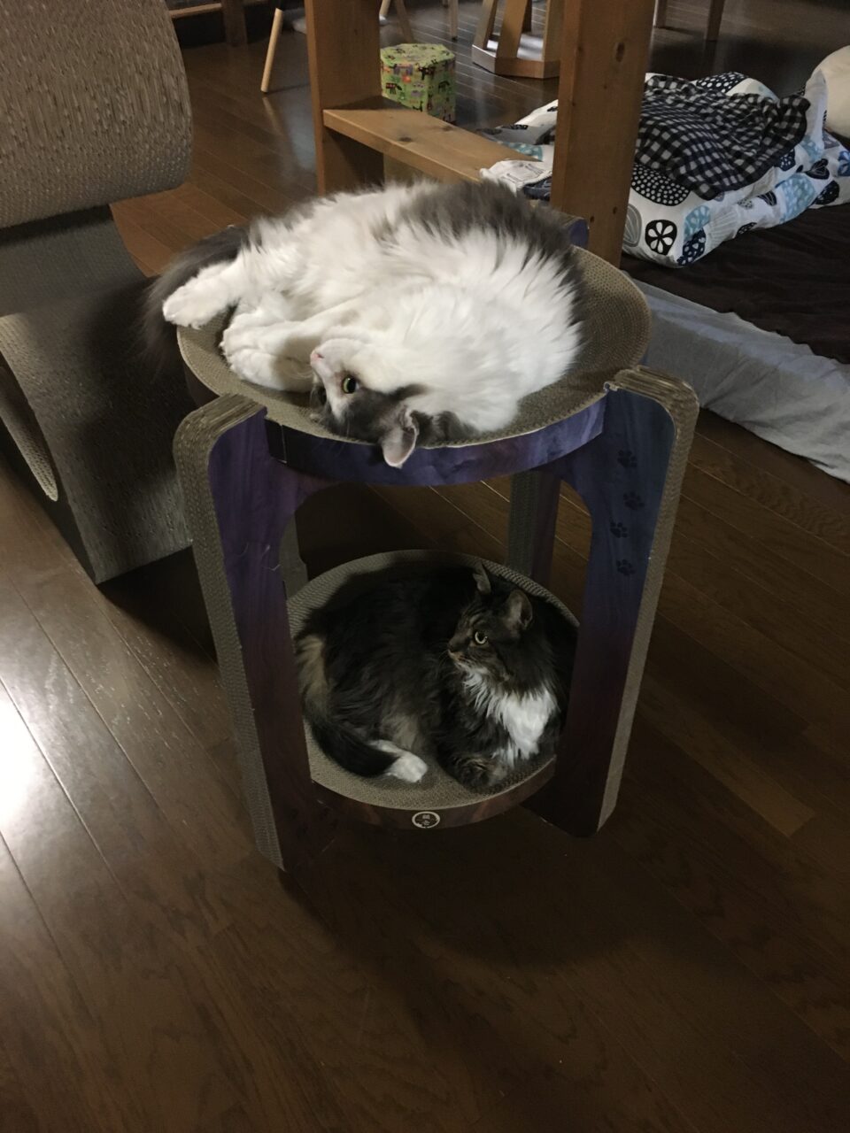 おぶせエバーグリーンマーケット