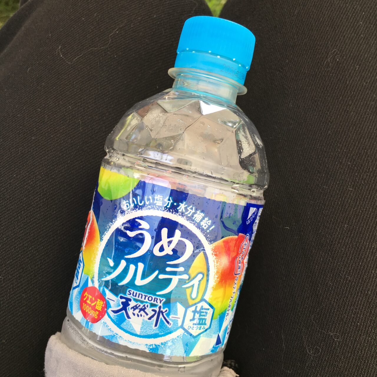第16回 三条クラフトフェア in 槻の森
