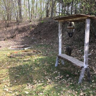 猫の毛を野鳥に提供