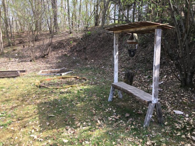 猫の毛を野鳥に提供