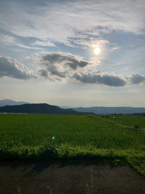 WATANABE Takeshi