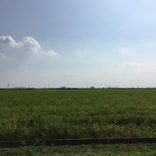 猛暑の外出