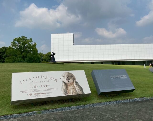 群馬県立館林美術館 〜 はしもとみお 木彫展