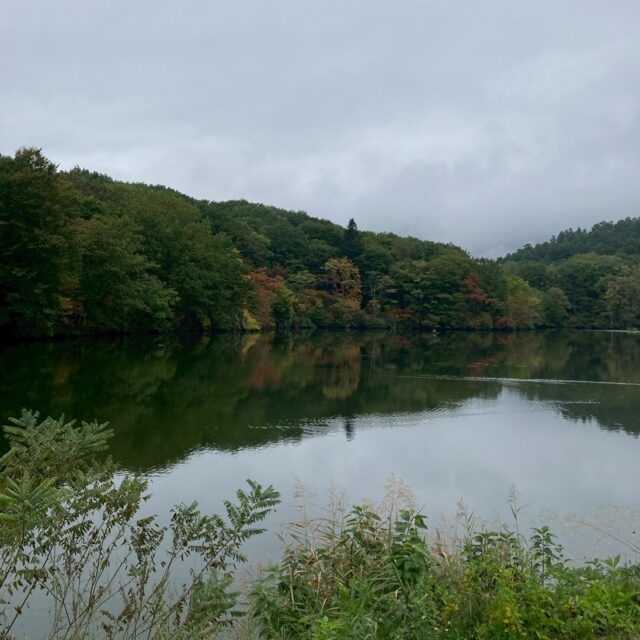 自然といきものアート展＠鏡池どんぐりハウス