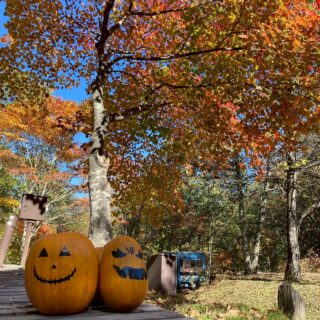 嬬恋ほくほくマルシェ