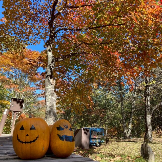 嬬恋ほくほくマルシェ