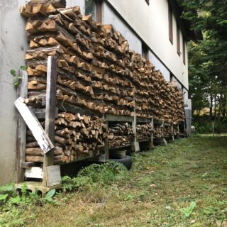 薪棚の整理と剥がされた苔