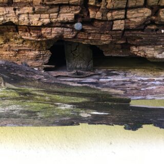 北側屋根と玄関天井の雨漏りチェック