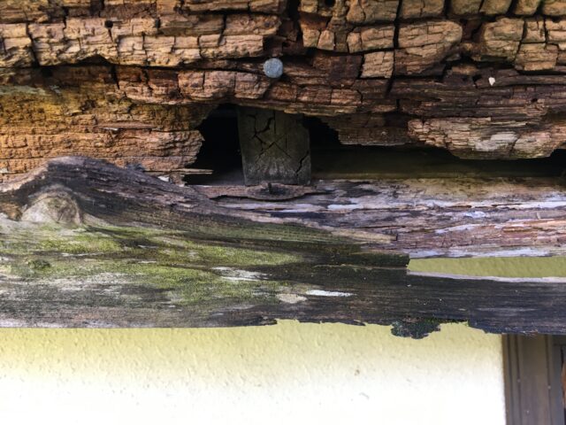 北側屋根と玄関天井の雨漏りチェック