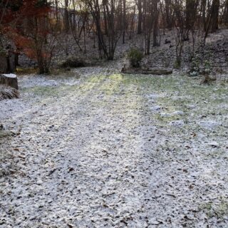 初雪・紅葉・モグラ塚