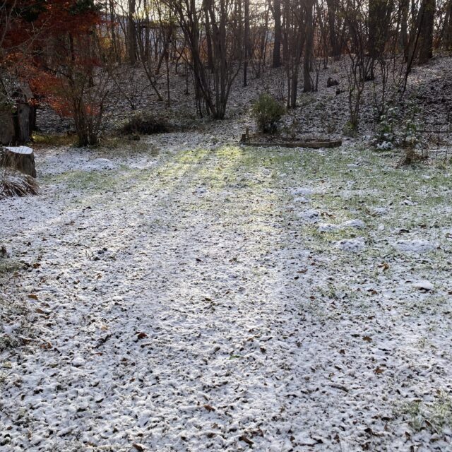 初雪・紅葉・モグラ塚