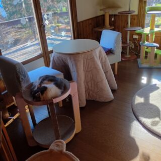 IKEAのスチール製テーブル脚でこたつをハイタイプに改造