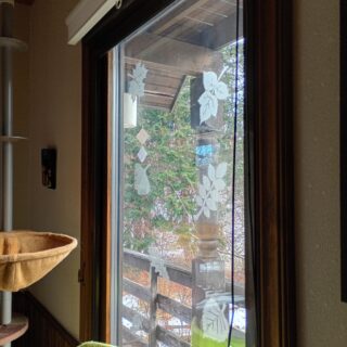 窓ガラスのバードストライク対策3（南側の窓への追加施策）