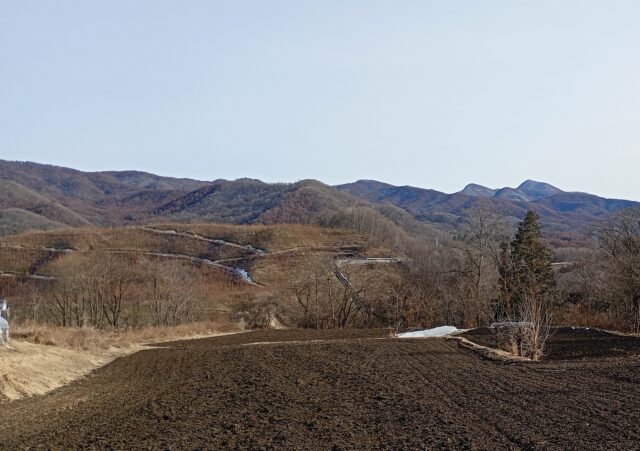 雪が降らないので柴刈りを