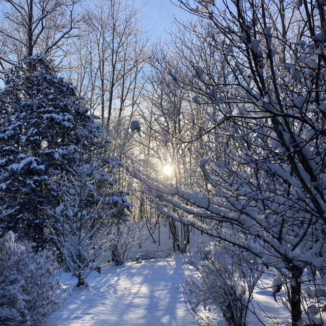 積雪＆さわやか自然百景