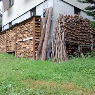 2026年の薪割り活動記録