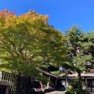 ルーサイトギャラリーと軽井沢T-SITE